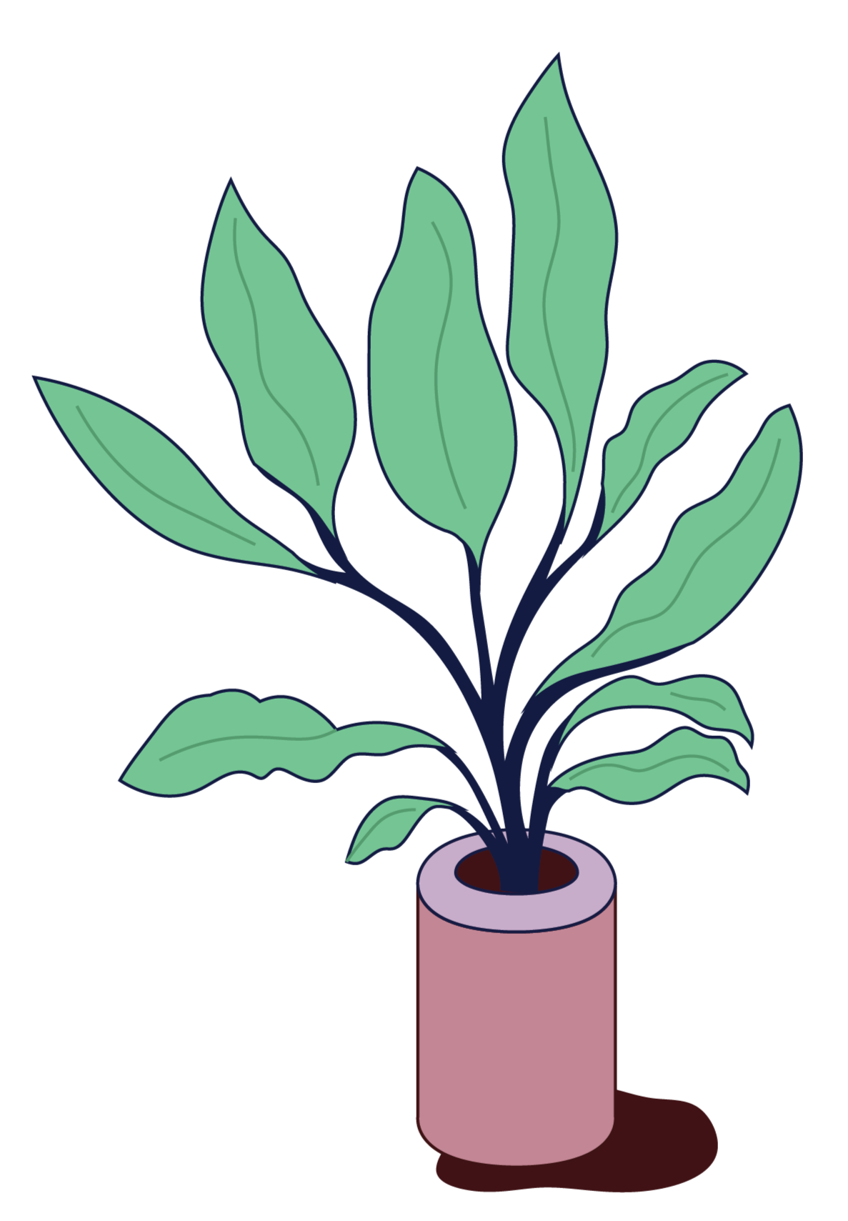 a cheerful plant